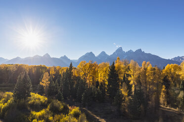 USA, Wyoming, Rocky Mountains, Grand Teton National Park, Cathedral Group und Espen im Herbst - FOF08862
