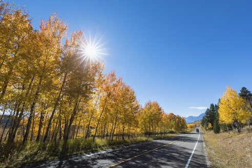 USA, Wyoming, Rocky Mountains, Grand Teton National Park, John D. Rockefeller Jr. Parkway mit Espen im Herbst - FOF08878