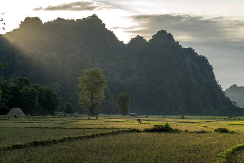 Myanmar, Hpa-an, Karstlandschaft und Felder - PCF00341