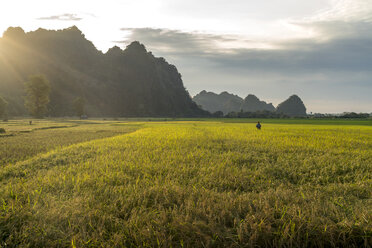 Myanmar, Hpa-an,Karsty landscape and fields - PCF00342