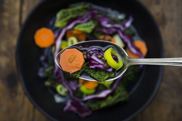 Spoon of vegan cabbage stew with lentils - LVF05878