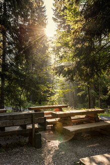 Tschechische Republik, Hradec Kralove, Rastplatz und Wald im Nationalpark Riesengebirge - CSTF01245