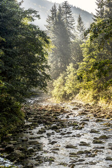 Tschechien, Hradec Kralove, Nationalpark Riesengebirge, Elbe im Elbtal bei Spindleruv Mlyn - CSTF01249