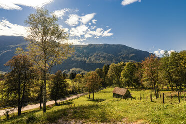 Slowenien, Bovec, Triglav-Nationalpark, Kanin-Tal im Herbst - CSTF01252