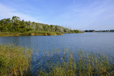 Deutschland, Usedom, Pudagla, Schmollensee - SIEF07298