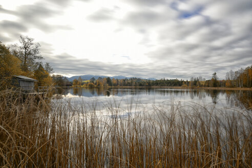 Deutschland, Allgäu, See mit Wasserspiegelung der Wolken im Herbst - FDF00217