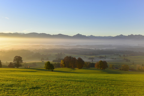 Deutschland, Allgäu, Herbstliche Landschaft bei Sonnenaufgang, lizenzfreies Stockfoto