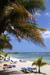 Caribbean, Dominican Republic, palm beach and sun loungers - DSGF01458