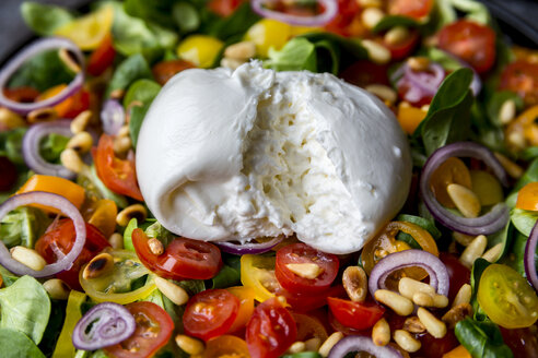 Teller mit Tomatensalat und Burrata - SARF03195