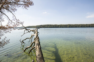 Deutschland, Brandenburg, Stechlinsee - LMF00679