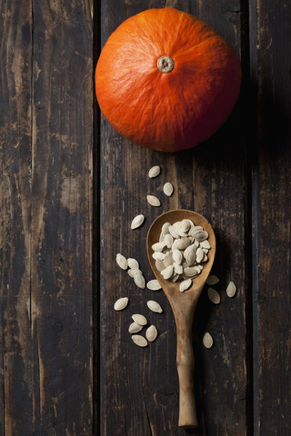 Hokkaido pumpkin and wooden spoon of pumpkin seeds on dark wood stock photo