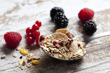 Server with granola and various wild berries on wood - CSF27919