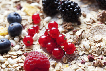 Granola and various wild berries, close-up - CSF27924