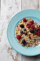 Plate of granola with various wild berries - CSF27925