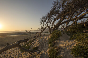 USA, Kalifornien, Pismo Beach bei Sonnenuntergang - LMF00690