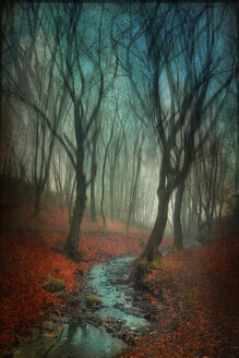 Deutschland, Wuppertal, Bach im Herbstwald, manipulierte Fotografie - DWIF00829