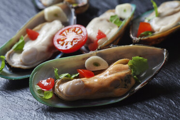 Green mussels with tomatoes, capsicum and garlic, on black slate slab - CSF27946