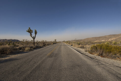 USA, Kalifornien, Joshua Tree National Park, Straße in der Wüste - LMF00709