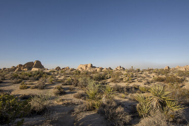 USA, Kalifornien, Joshua Tree National Park, Wüste - LMF00710