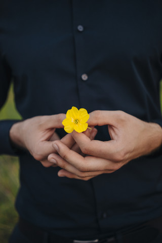 Mann hält Blume in seiner Hand, lizenzfreies Stockfoto