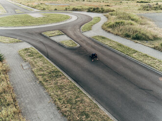 Businessman starting race at roundabout - KNSF01103