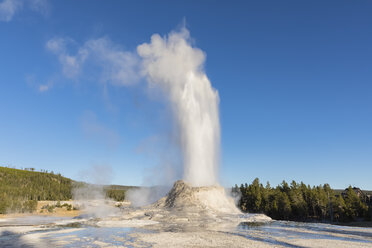 USA, Wyoming, Yellowstone-Nationalpark, Oberes Geysirbecken, Ausbruch des Castle-Geysirs - FOF08904