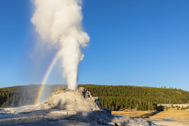 USA, Wyoming, Yellowstone-Nationalpark, Oberes Geysirbecken, Ausbruch des Castle-Geysirs - FOF08905