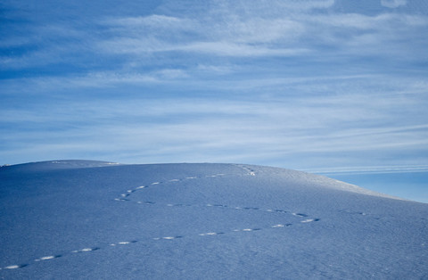 Italien, Umbrien, Apennin, Park des Monte Cucco, Fußspuren im Schnee auf dem Gipfel des Cucco, lizenzfreies Stockfoto