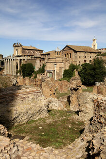 Italien, Rom, Forum Romanum - DSGF01485