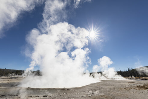 USA, Yellowstone National Park, Schwarzes Sandbecken, dampfender Rainbow Pool - FOF08911