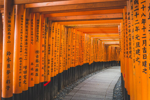 Japan, Kyoto, Fushimi, Torii im Fushimi Inari Taisha-Schrein - KEBF00508