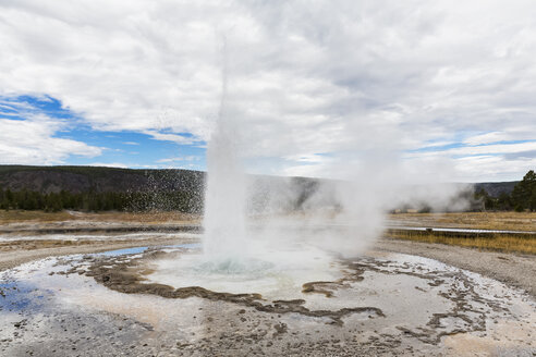 USA, Wyoming, Yellowstone-Nationalpark, Oberes Geysirbecken, Geysirausbruch - FOF08934