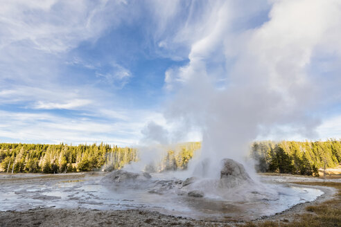 USA, Wyoming, Yellowstone-Nationalpark, Grotto-Geysir - FOF08936