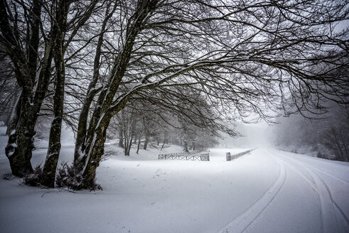 Italien, Umbrien, Apennin, Monte Cucco Park, Schneesturm im Winter - LOMF00528