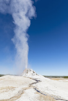 USA, Wyoming, Yellowstone-Nationalpark, Unteres Geysirbecken, Firehole Lake Drive, White Dome Geysir - FOF08958