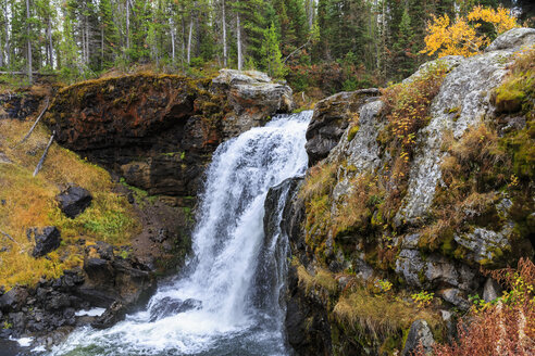 USA, Yellowstone-Nationalpark, Moose Falls - FOF08967