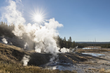 USA, Yellowstone-Nationalpark, Norris-Geysir-Becken - FOF08971