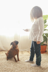 Kleines Mädchen übt mit ihrem Hund zu Hause das Sitzen - RTBF00697
