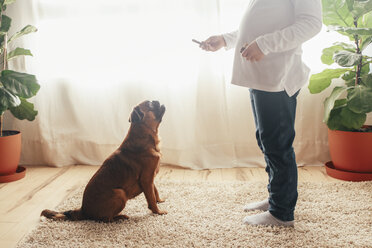 Kleines Mädchen übt mit ihrem Hund zu Hause das Sitzen - RTBF00698