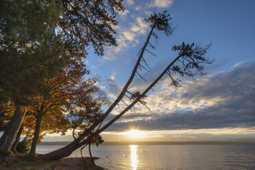 Deutschland, Bayern, Starnberger See, Sonnenaufgang - SIEF07312