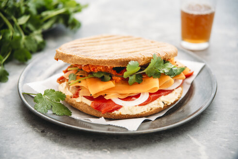 Marokkanisches Sandwich mit Hummus, gegrillter Paprika, Zwiebeln, Karotten, Koriander, Ajvar, Schwarzkümmel - IPF00362