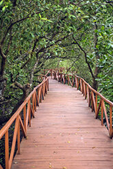 Indonesia, Java, boardwalk at mangrove forest - KNTF00654