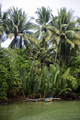Indonesien, Java, tropische Vegetation am Flussufer - KNTF00663