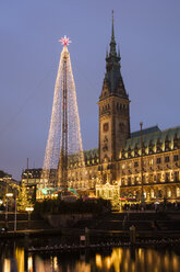 Germany, Hamburg, steel Christmas tree at market in front of illuminated town hall - WIF03401