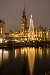 Germany, Hamburg, steel Christmas tree at market in front of illuminated town hall - WIF03402