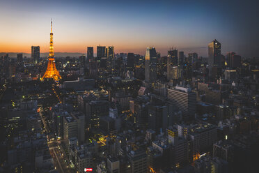 Japan, Tokyo, skyline with illuminated Tokyo Tower as seen from World Trade Center - KEBF00527