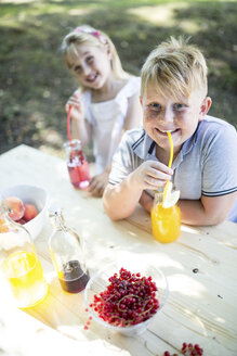 Schwester und Bruder trinken selbstgemachte Limonade am Gartentisch - WESTF22810