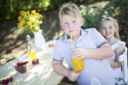 Schwester und Bruder trinken selbstgemachte Limonade am Gartentisch - WESTF22811