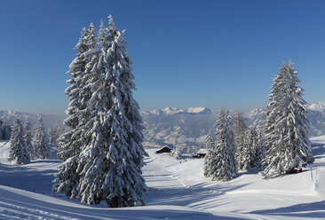 Österreich, St. Johann im Pongau, schneebedeckte Winterlandschaft - MABF00447