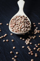 Wooden spoon of mountain lentils on slate - CSF28022